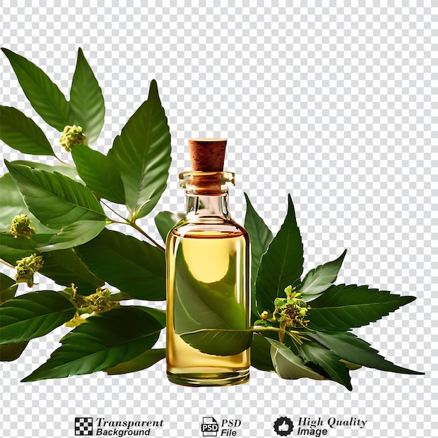 PSD a bottle of essential oil with a green leaf next to it isolated on transparent background