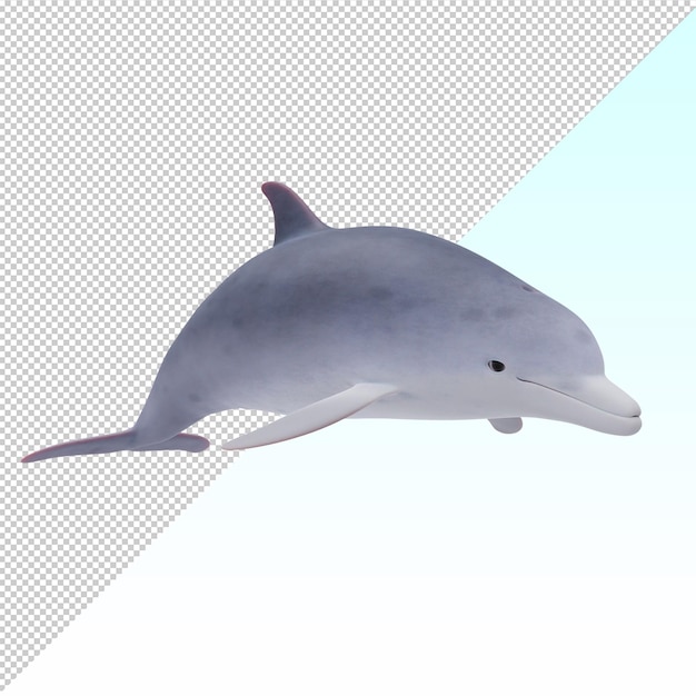 PSD bottlenose dolphin