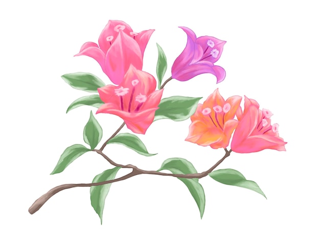 PSD bougainvillea flower painting illustration