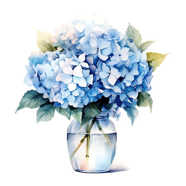 Bouquet of blue hydrangea in vase minimal style watercolor isolate background