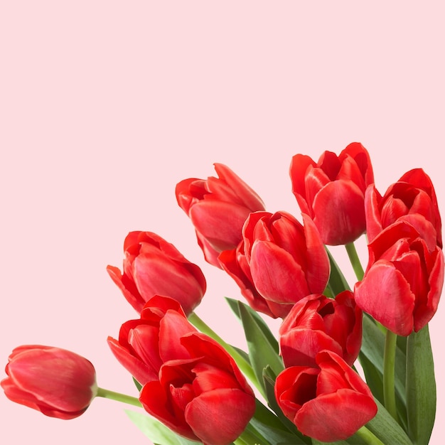 Bouquet van rode tulpen