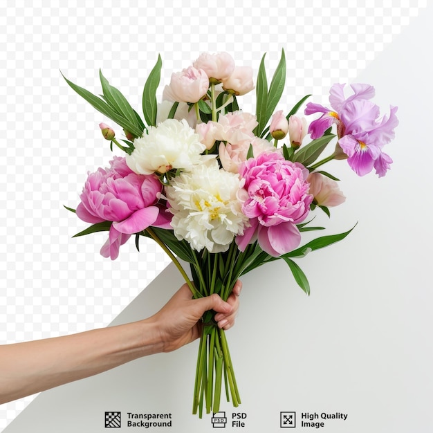 PSD bouquet van roze en witte pioenen en irissen in de hand van een vrouw geïsoleerd op een witte geïsoleerde achtergrond