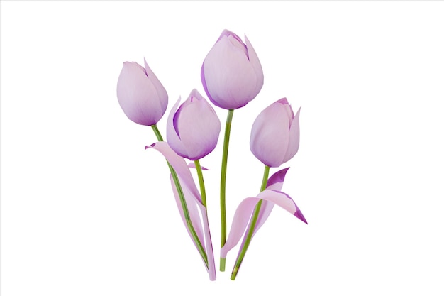 Bouquet van vijf delicate roze tulpen