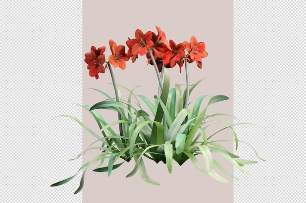 PSD bovenaanzicht bloemen in 3d-rendering geïsoleerd