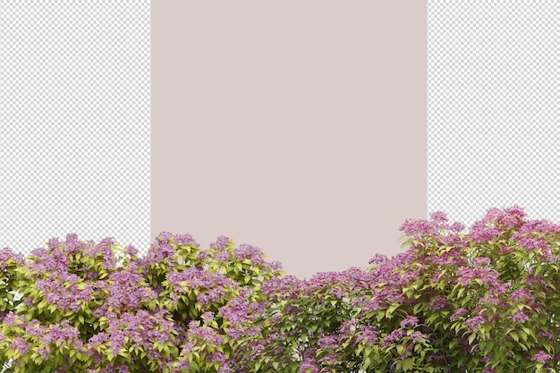 Bovenaanzicht bloemen in 3d-rendering geïsoleerd