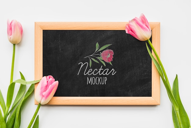 PSD bovenaanzicht bloemen op blackboard