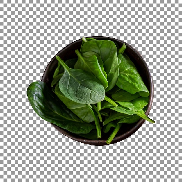 PSD a bowl of spinach with the green leaves on it