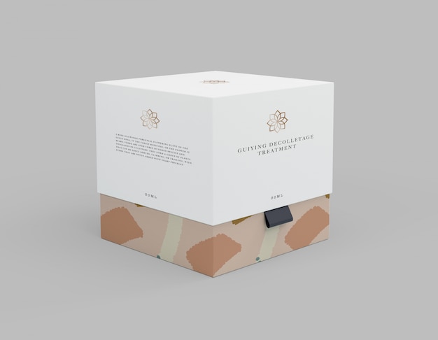 PSD box mock up