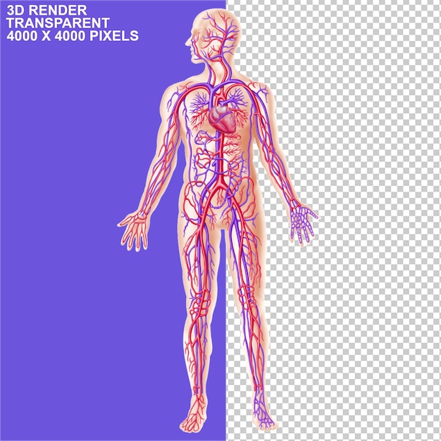 PSD bp operatori cervelli neuroni capsule attrezzature di laboratorio burete bicchiere sangue tubo di prova cellula cancerosa