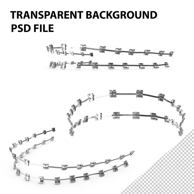 PSD braces medical model png