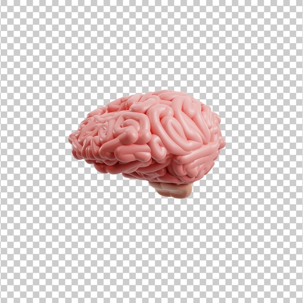 Brain 3d icon