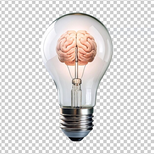 PSD brain in a form of a light blub