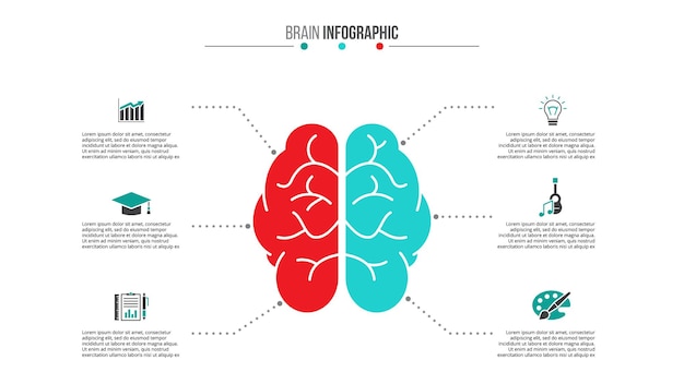 PSD brain left analytical and right creative hemispheres infographics