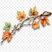 PSD branch with leaves on a transparent background