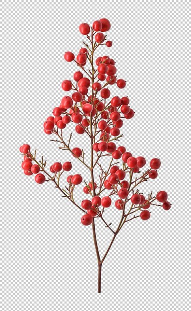 PSD branch with red balls birds food and christmas decorations