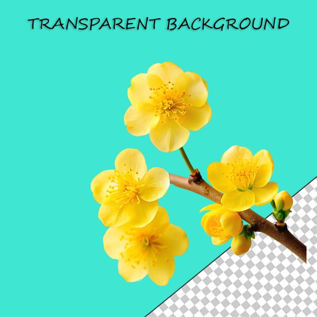 Branching spring centerpiece isolated on transparent background