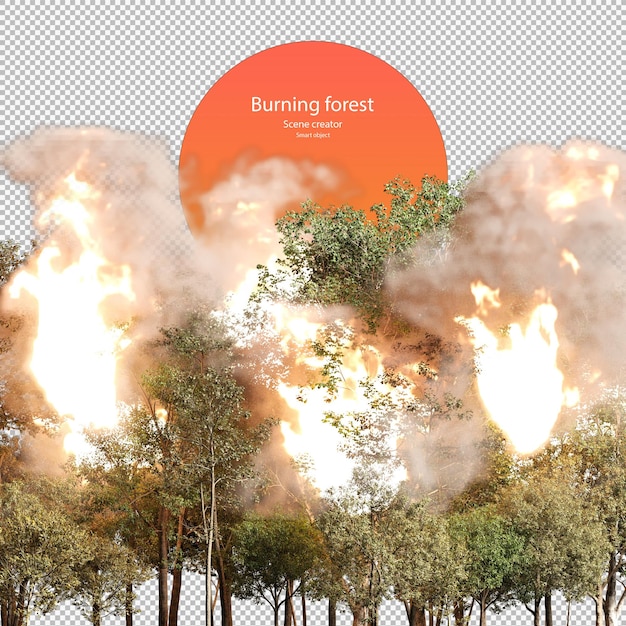 Brandend bos Brandende bomen Brandend bos geïsoleerd
