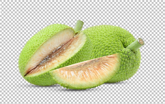 Breadfruit isolated on alpha layer