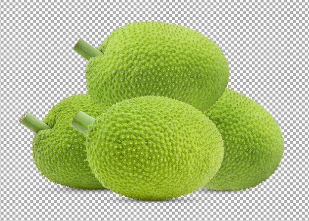 Breadfruit