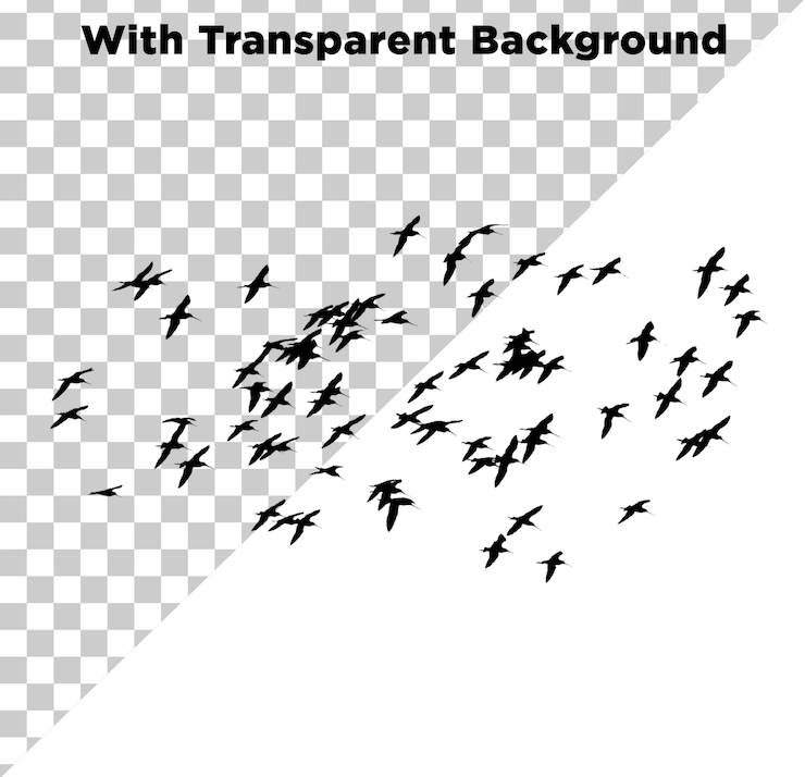 PSD brids flying in sky png psd transparent background