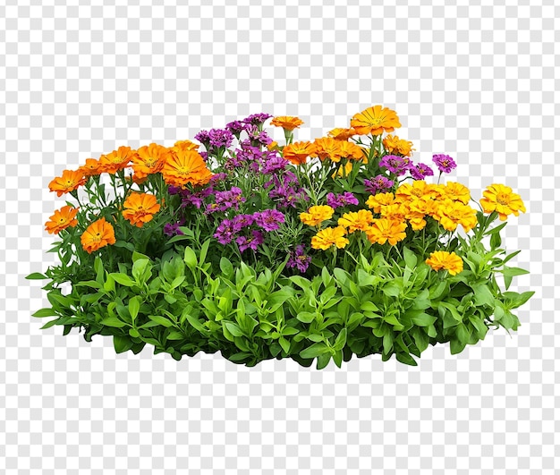 透明 な 背景 に 隔離 さ れ て いる 緑 の 葉っぱ を 帯び た 明るい 黄色 と 紫 の 花