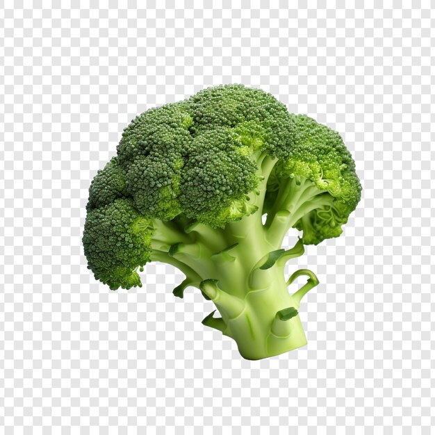 A broccoli 3d isolated on transparent background