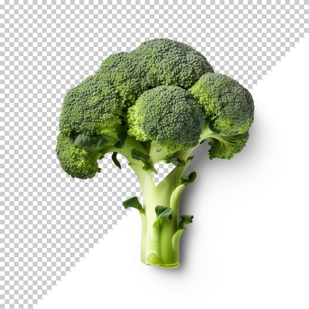 Broccoli geïsoleerd op doorzichtige achtergrond