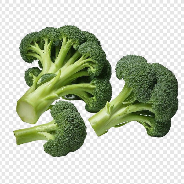 PSD broccoli isolato png su sfondo trasparente premium psd