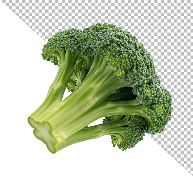 PSD broccoli isolated on white background full depth of field