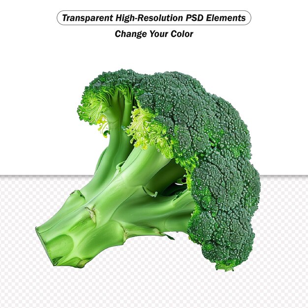 PSD Брокколи на белом фоне