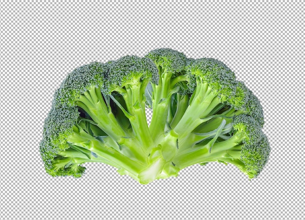 Broccoli op de achtergrond van de alfalaag