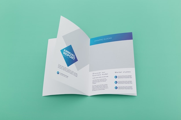 Brochure concept mock-up