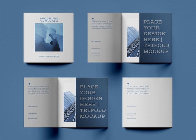 Brochure design mockup