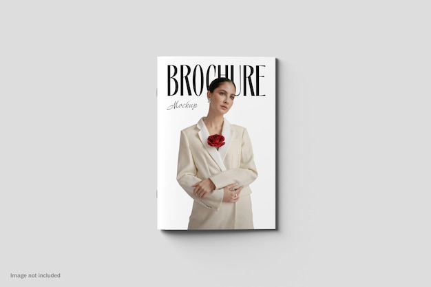 Brochure and Magazine Mockup