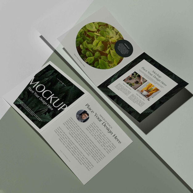 PSD brochure studio design mockup