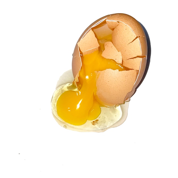 broken egg