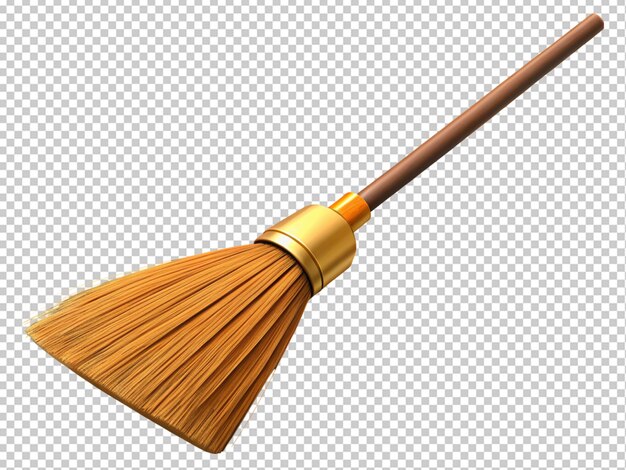 PSD broom with stick