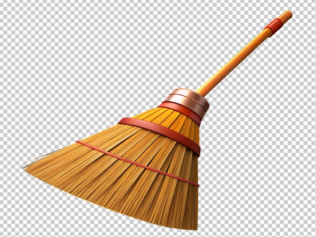 PSD broom with stick