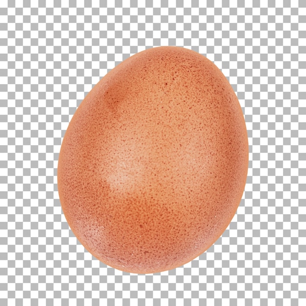 Brown chicken egg for assets design with food perspective