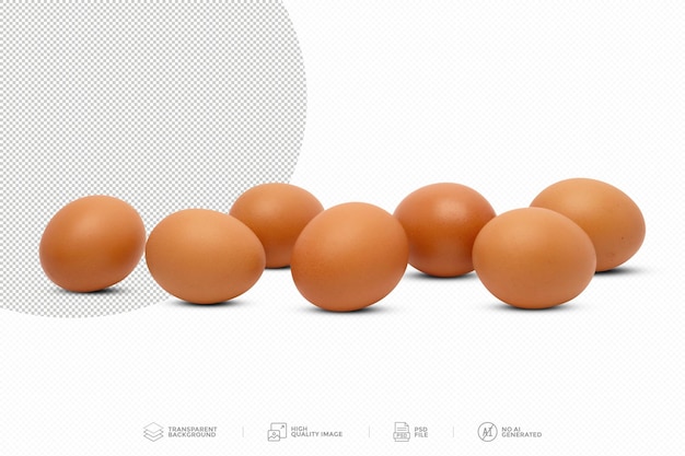 PSD brown chicken egg isolate on transparent background