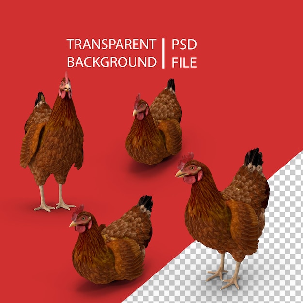 PSD brown chicken png