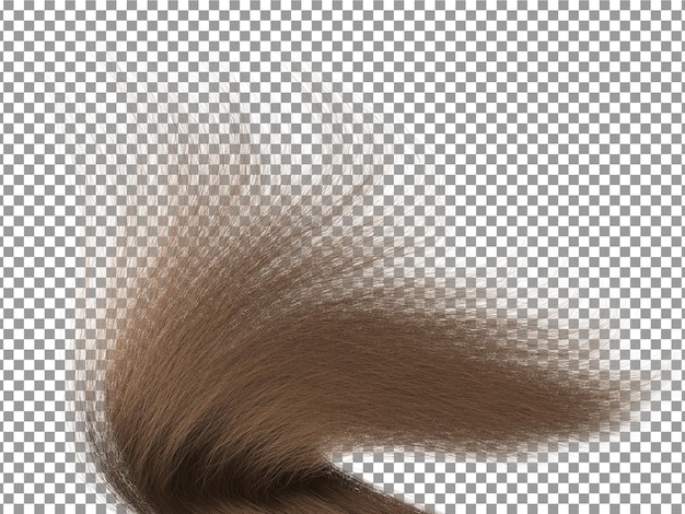 PSD brown tail of girl hairs with transparent background