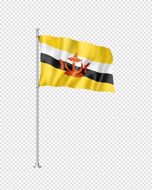 Bruneian flag isolated on white