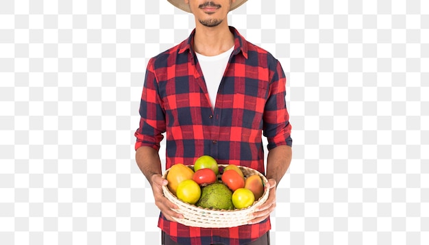 Brzuch rolnika trzymającego kosz owoców na białym tle