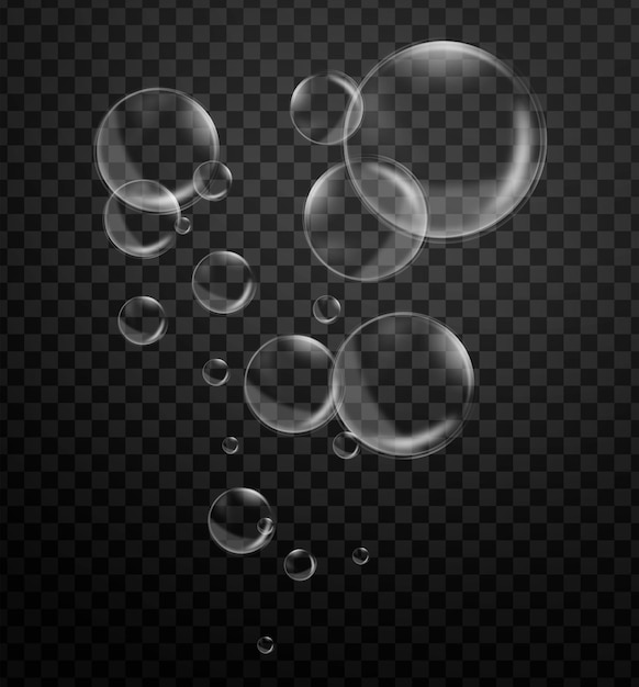 Bubbles are located on a transparent background