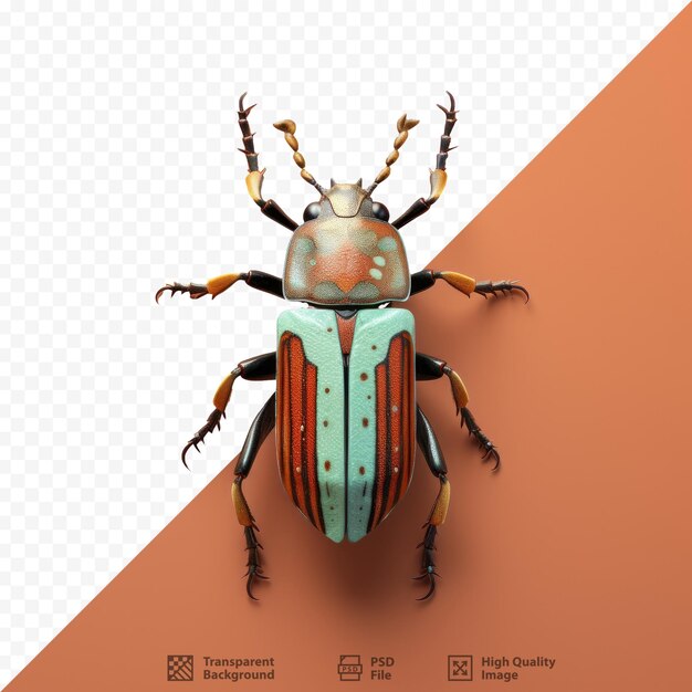 PSD a bug with a green and orange background.