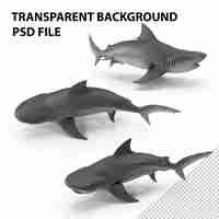 PSD bull shark png