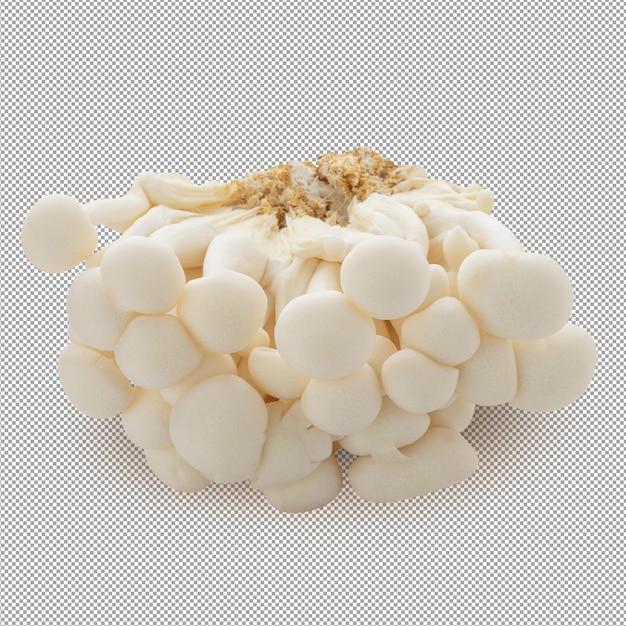 PSD bunapi mushroom white beech mushrooms shimeji mushroom isolated on an alpha background