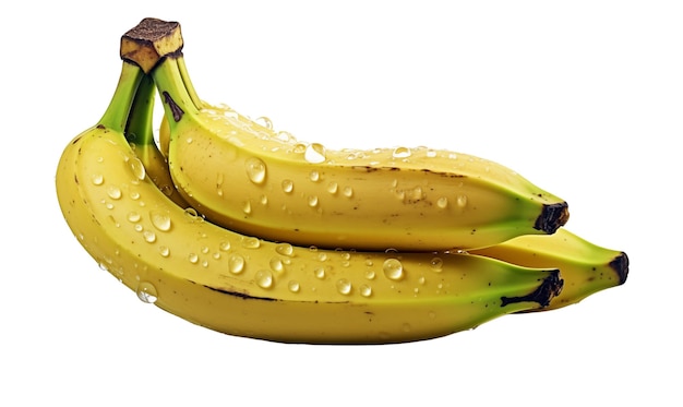 Bunch of bananas with water drops isolated on a transparent background