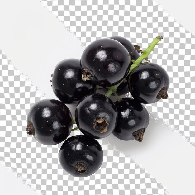 PSD a bunch of black grapes with the word black on the bottom